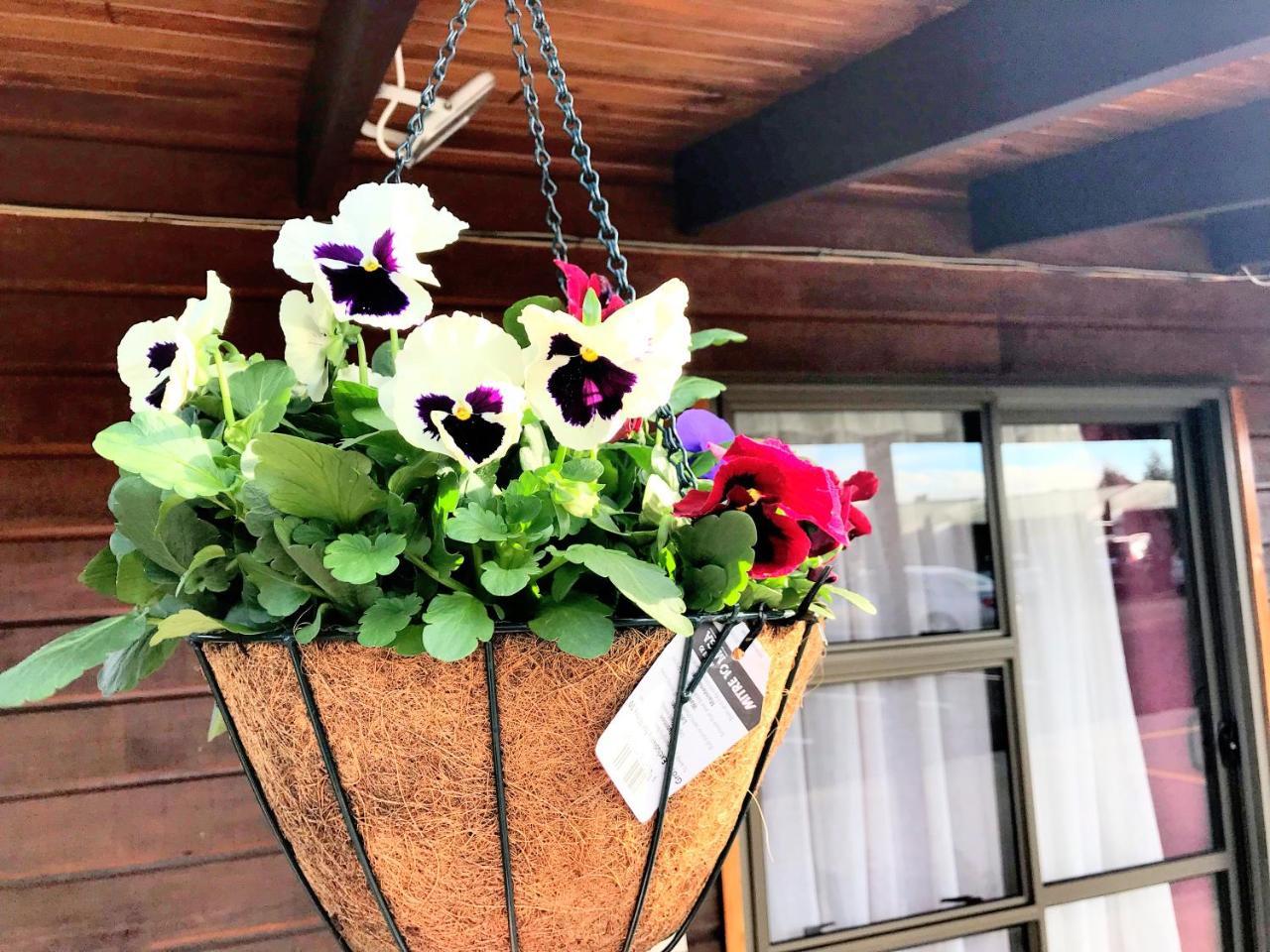 Grange Motel Окленд Экстерьер фото